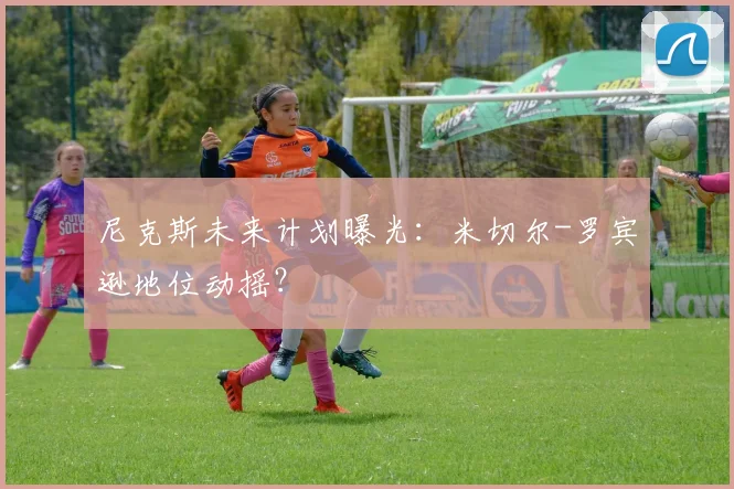 尼克斯未来计划曝光:米切尔-罗宾逊地位动摇?
